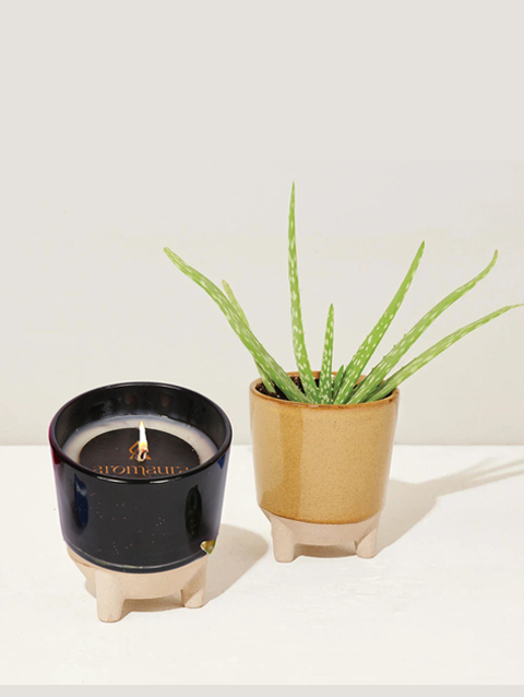 Vanilla Scented Ceramic Candle without Lid, 150 gm, 20 hrs